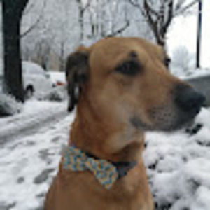 Meet your Posher, Mark